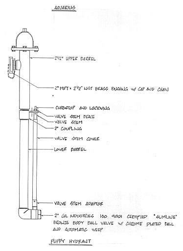 Puppy Valve Drawing